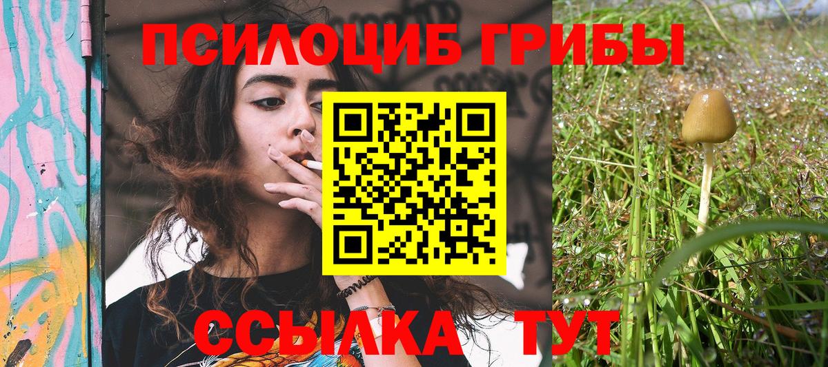 Галлюциногенные грибы ЛСД  Вход с VPN  где найти   Гусиноозёрск 