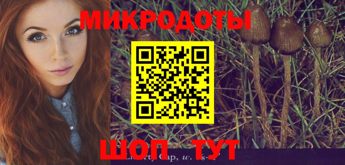 Галлюциногенные грибы прущие грибы Гусиноозёрск